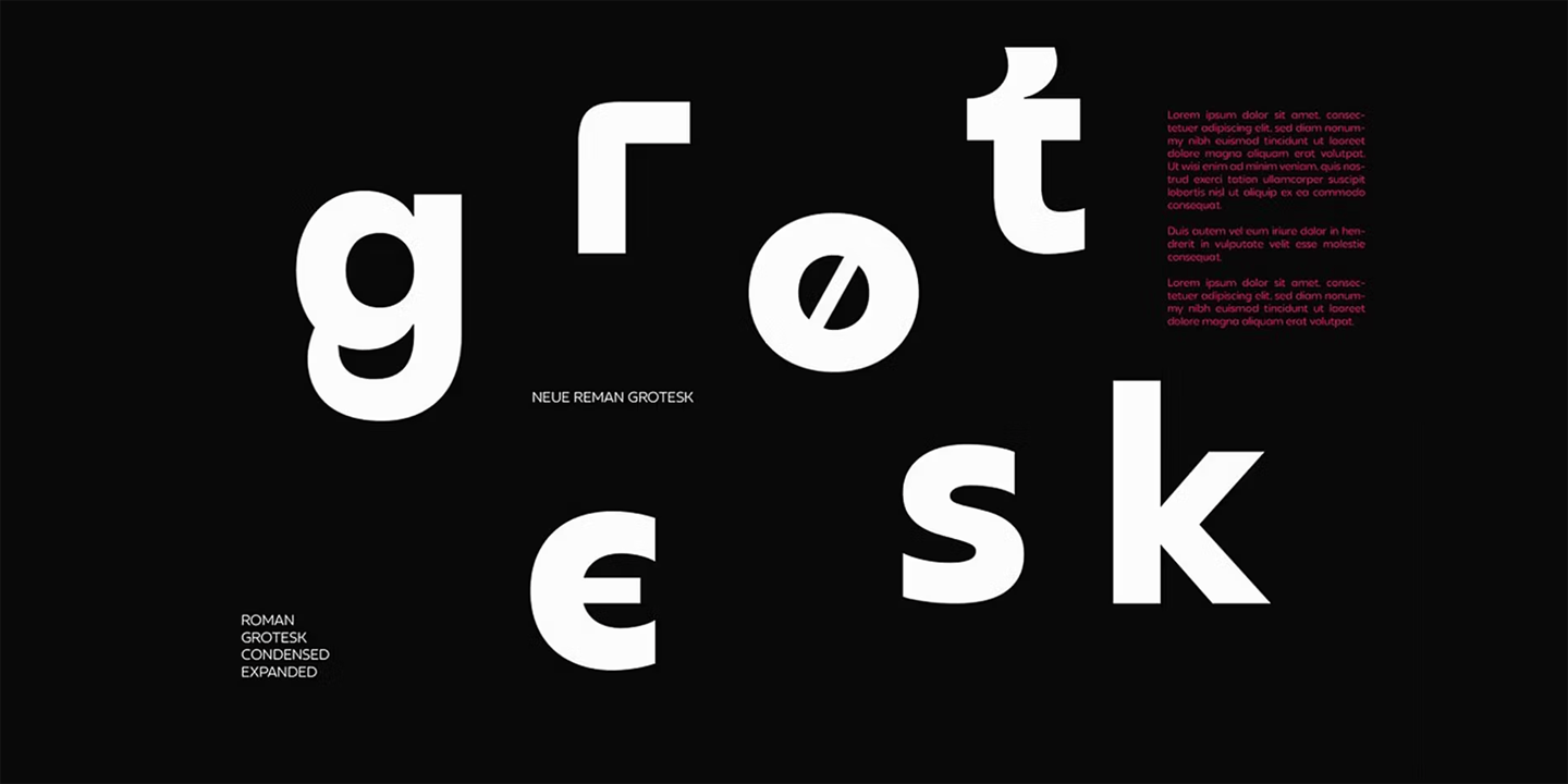 Neue Reman Grotesk Font Poster #7