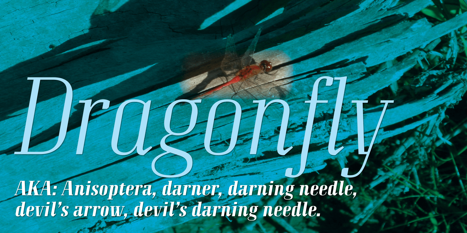 Grandheron Serif New Font Poster #1