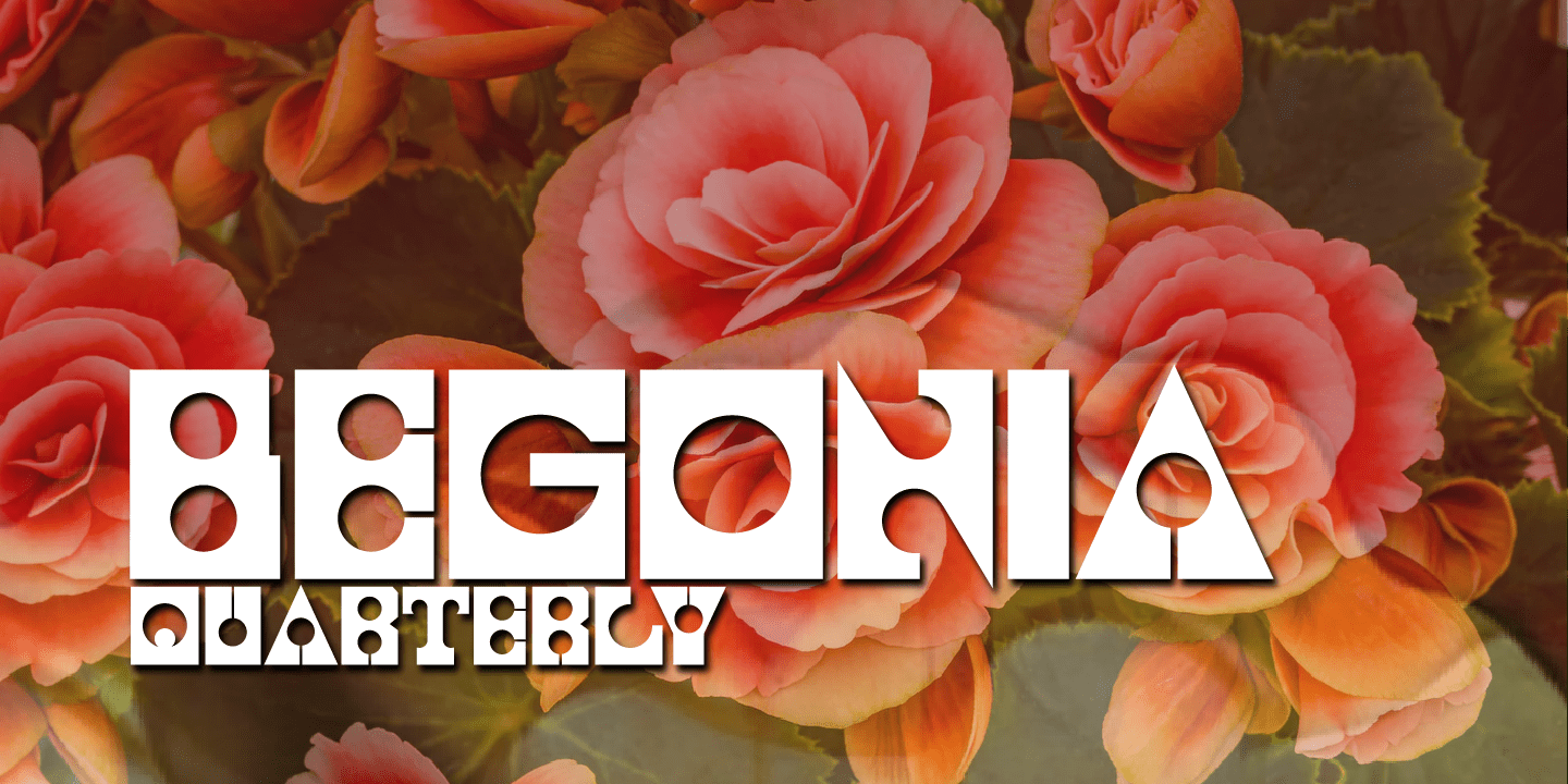 Churchward Roundsquare Font Poster #2