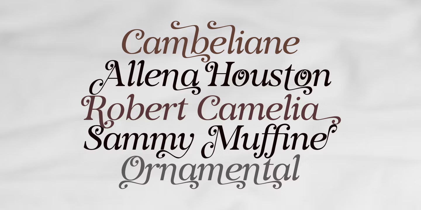 Voster Noise Font Family Poster