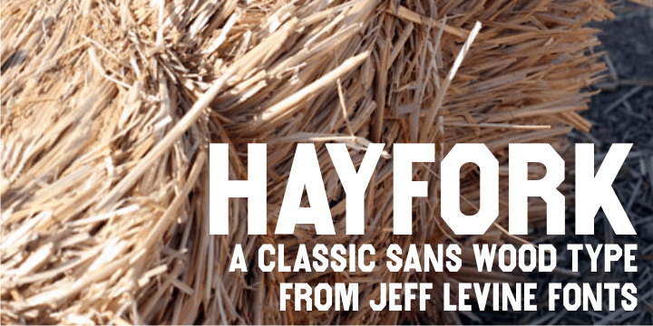 Hayfork Font Poster #1