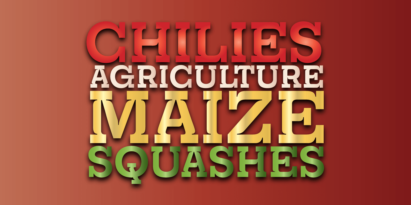 Churchward Montezuma Bold Font Poster #1