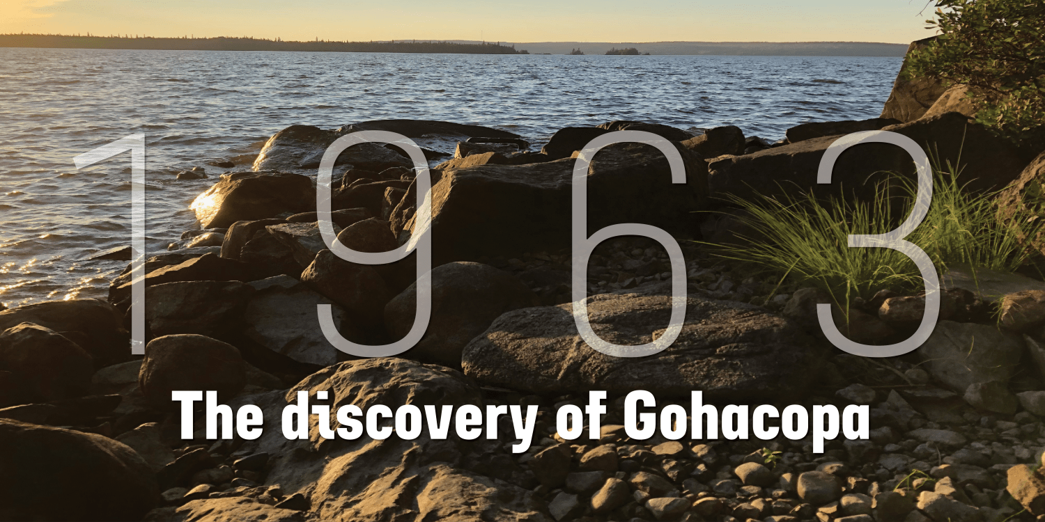 Grandheron Sans New Font Poster #1