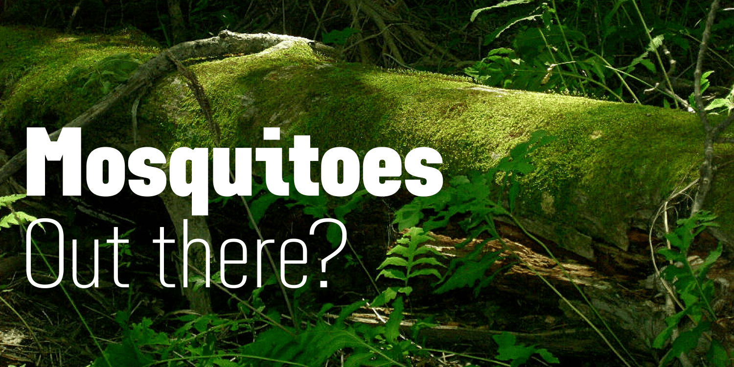 Grandheron Sans New Font Poster #1