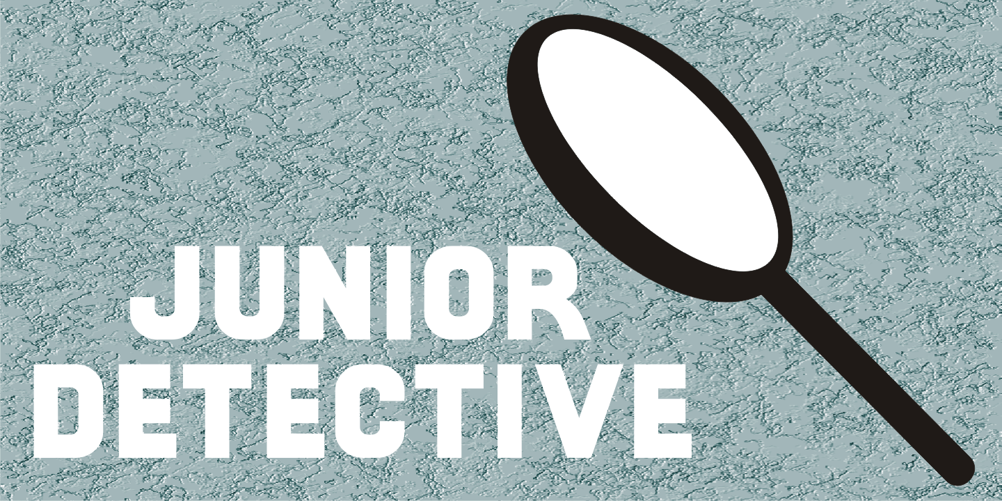 Junior Detective Font Family Poster