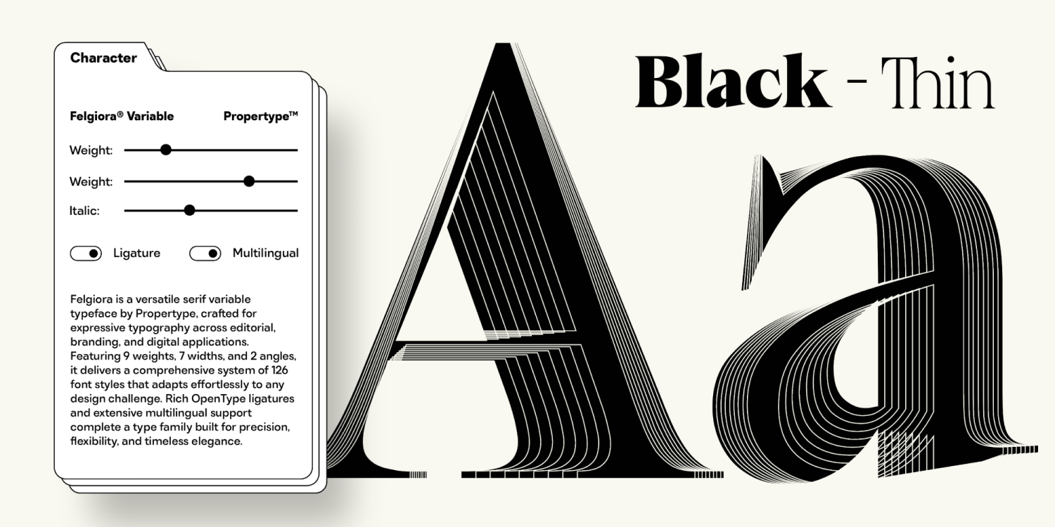 Felgiora Font Poster #13