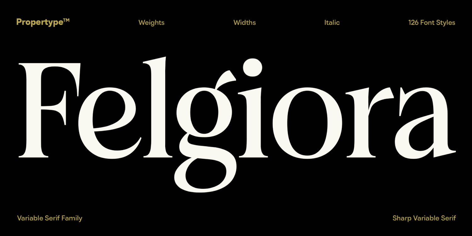 Felgiora Font Poster #16