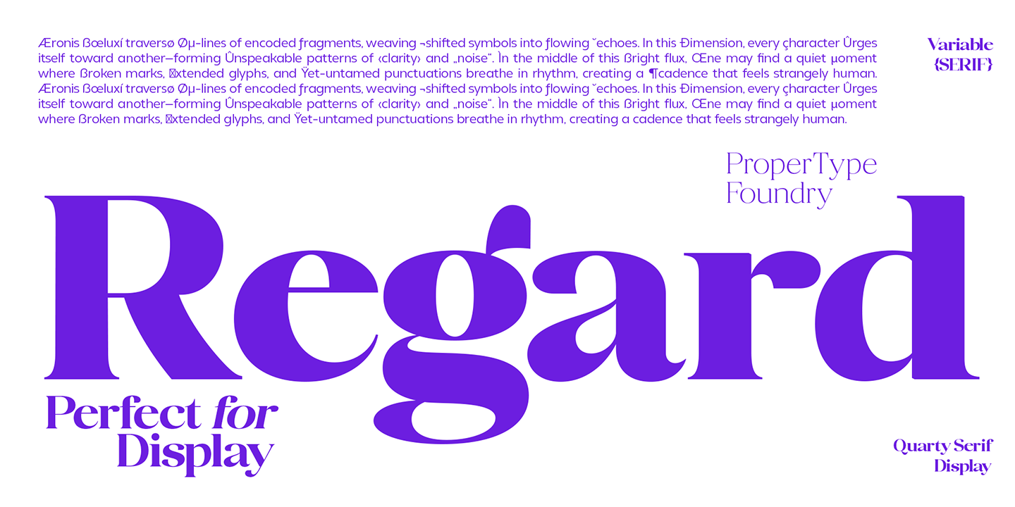 Quarty Serif Font Poster #14