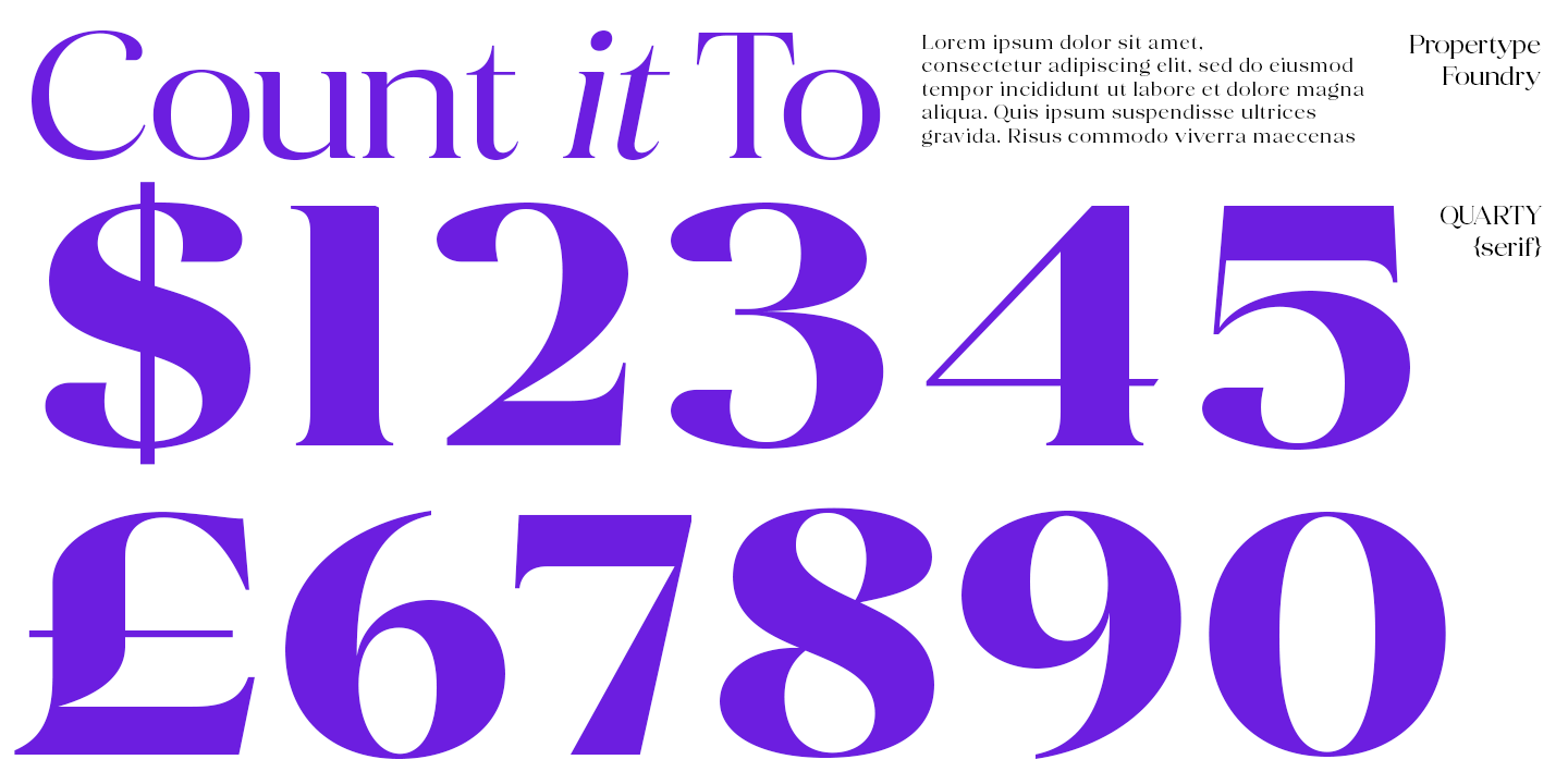 Quarty Serif Font Poster #5