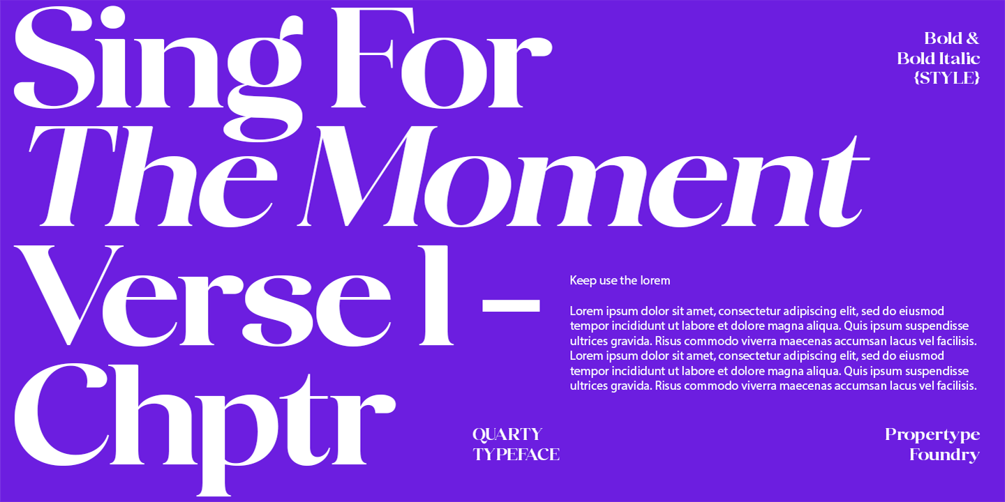 Quarty Serif Font Poster #8