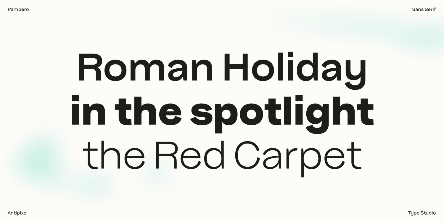 Pampero Bold Font Poster #13