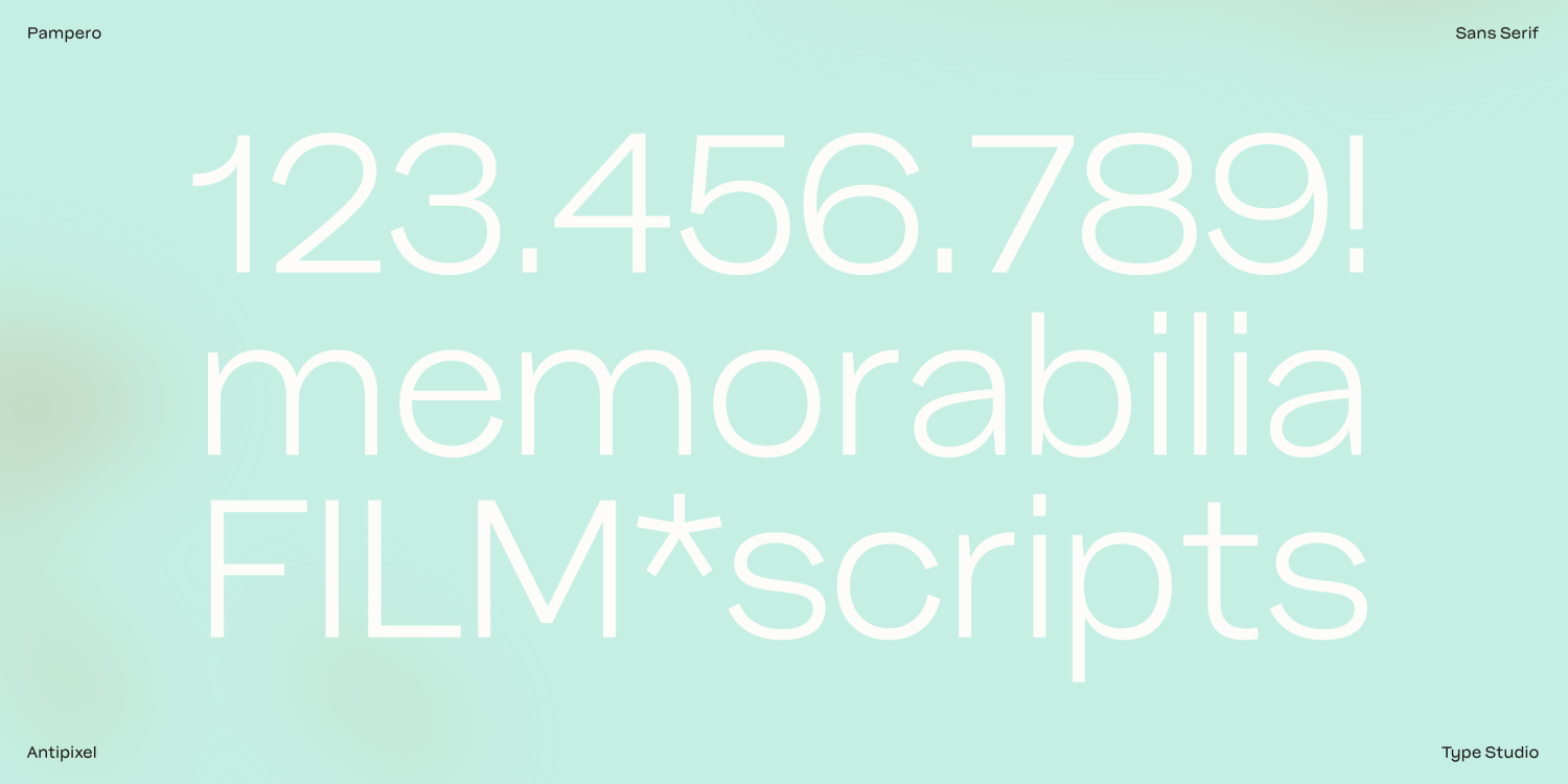 Pampero Bold Font Poster #8