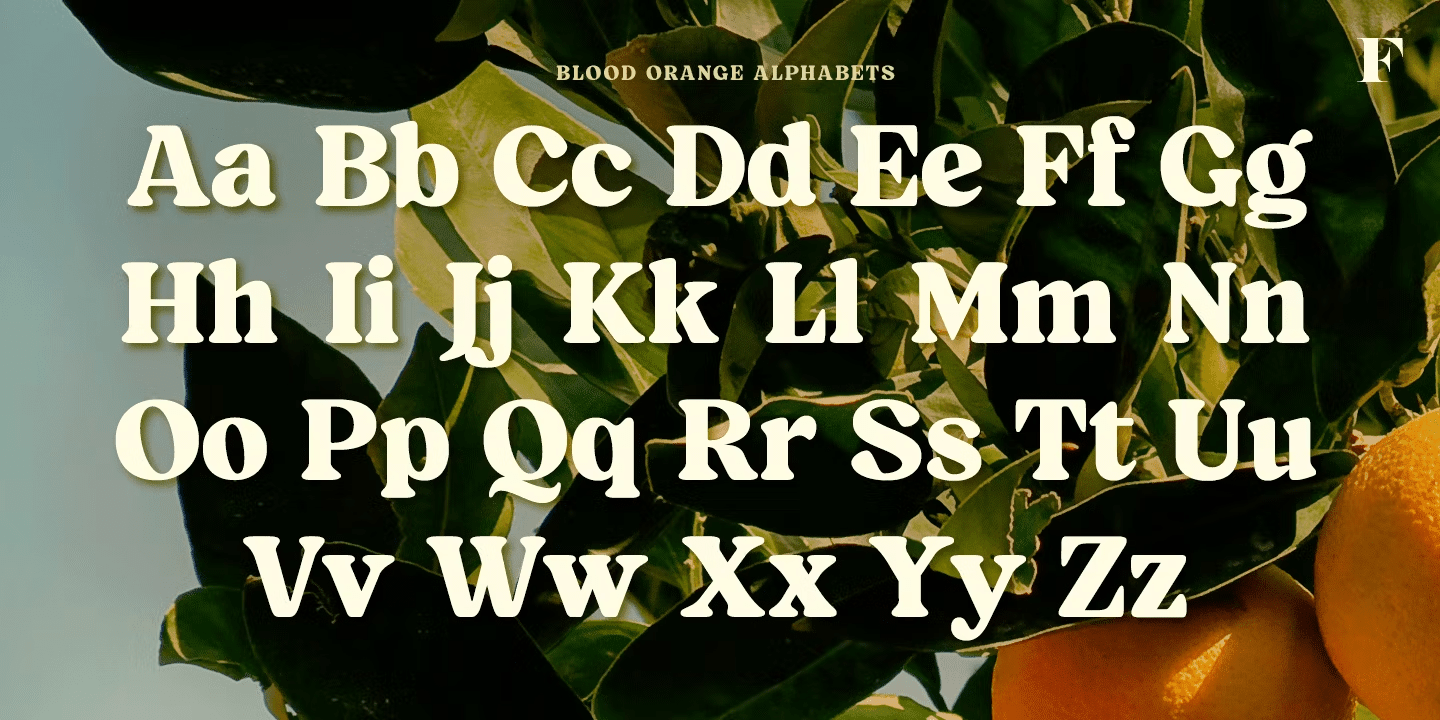 Blood Orange Bold Font Poster #1