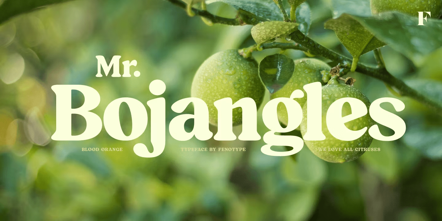 Blood Orange Bold Font Poster #1