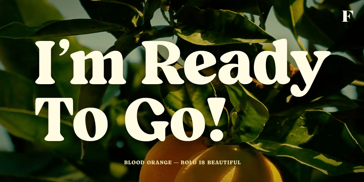 Blood Orange Bold Font Poster #1