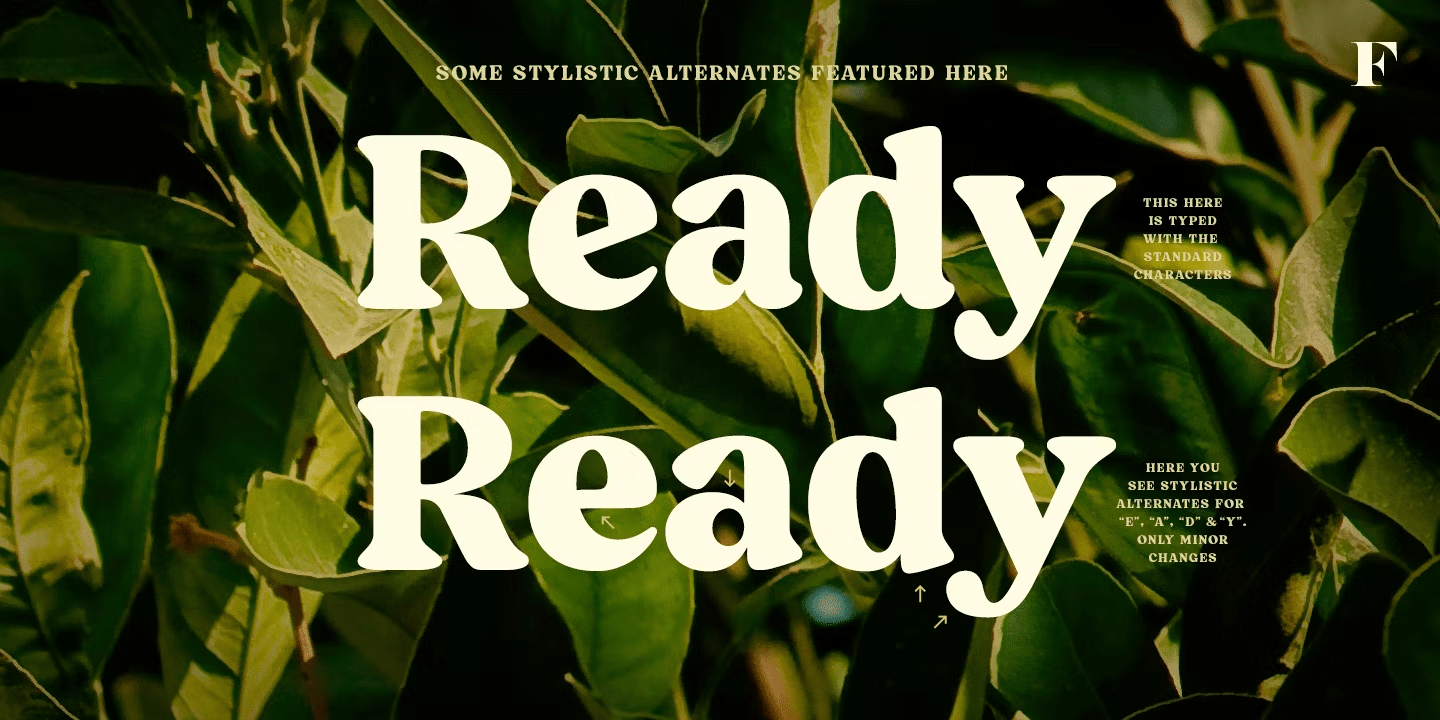 Blood Orange Bold Font Poster #1