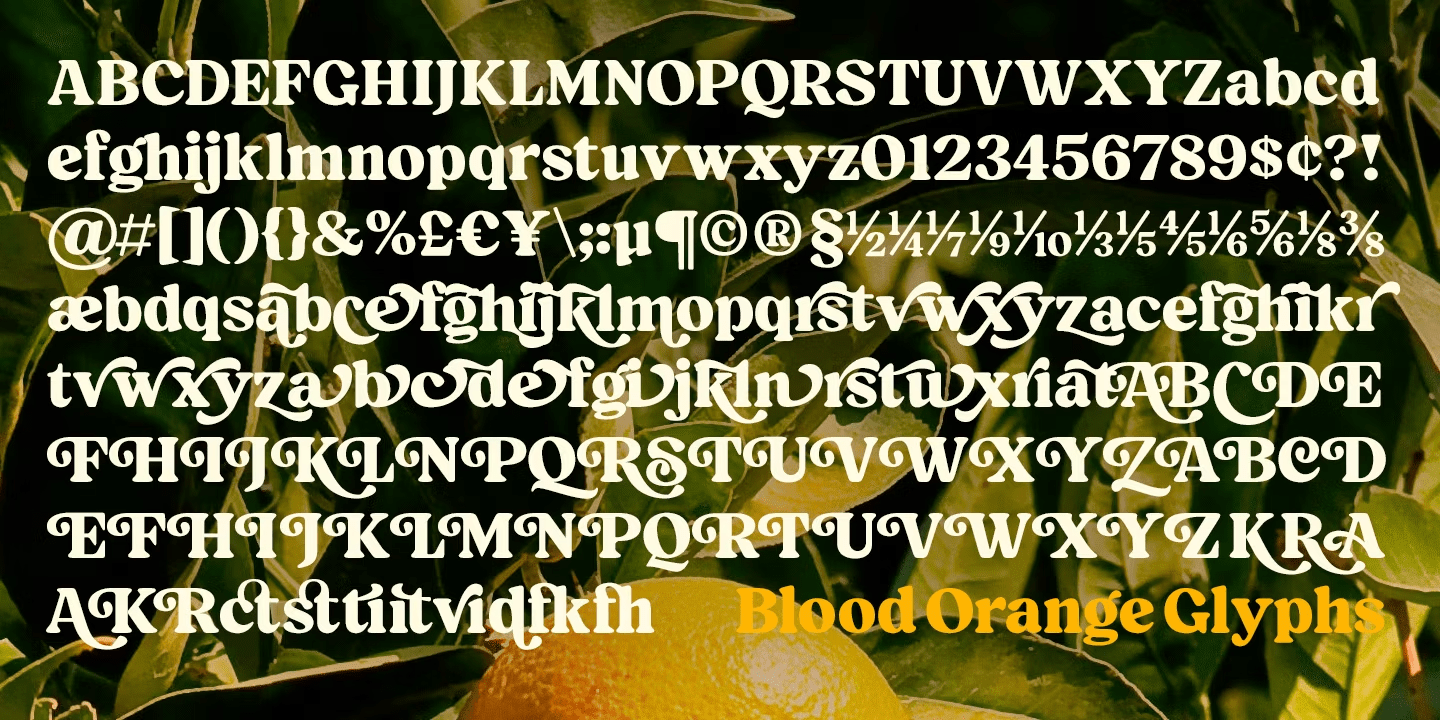Blood Orange Bold Font Poster #1