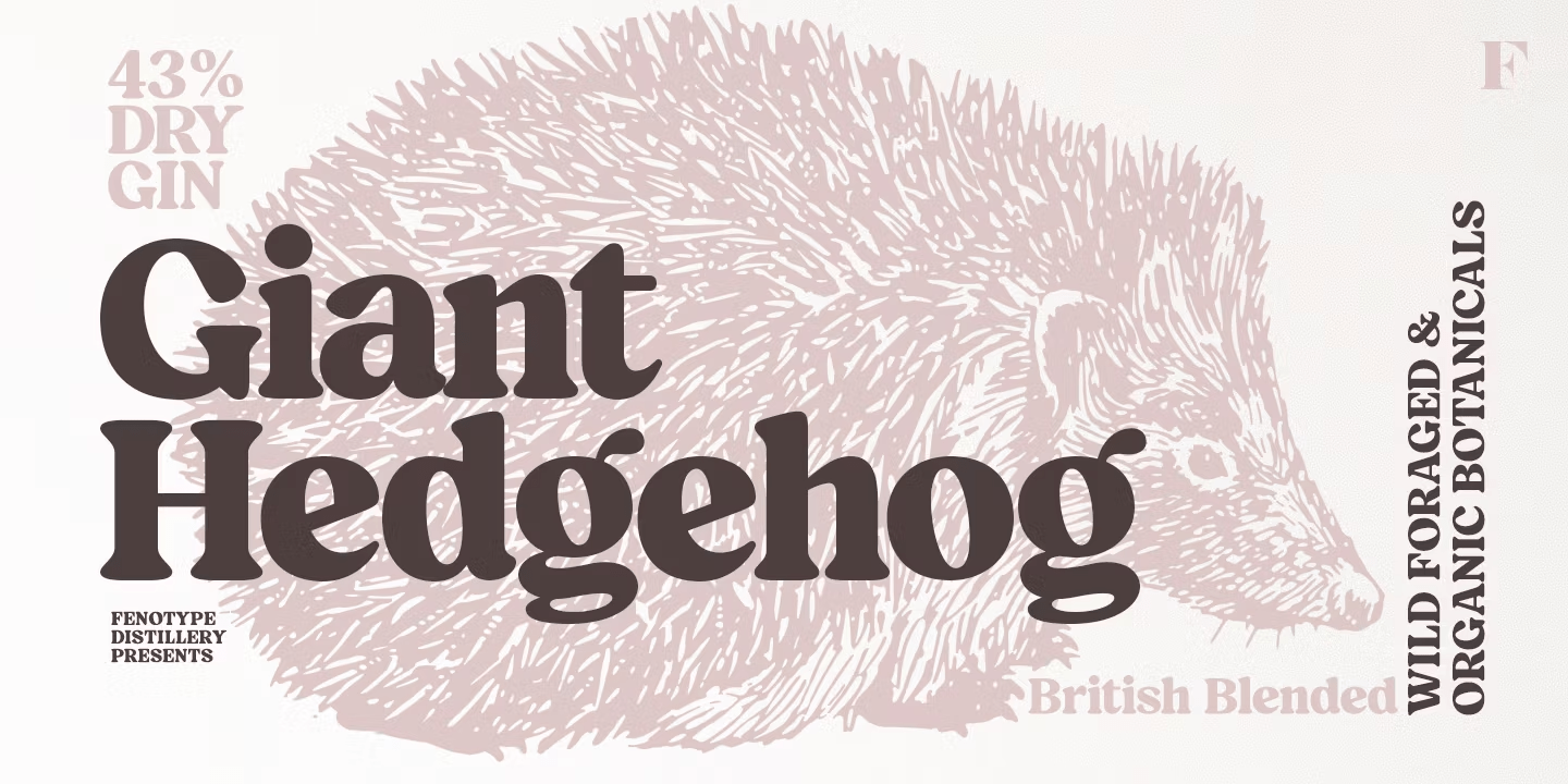 Blood Orange Bold Font Poster #1