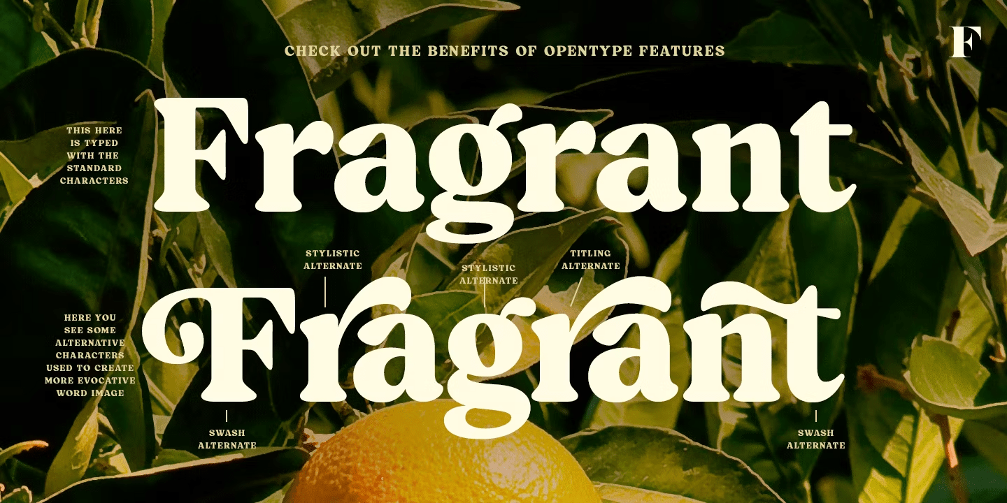 Blood Orange Bold Font Poster #1