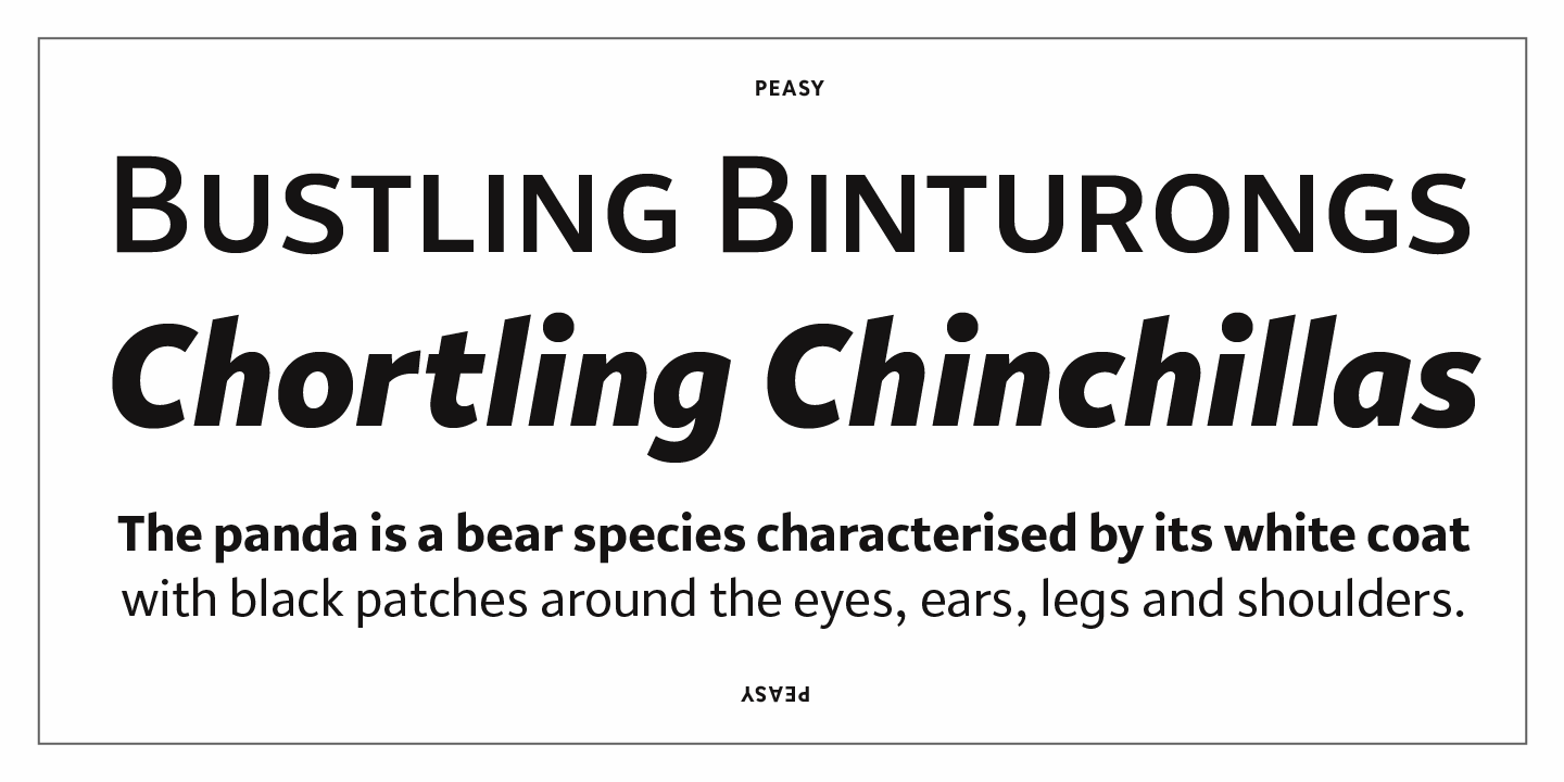 Peasy Font Poster #1