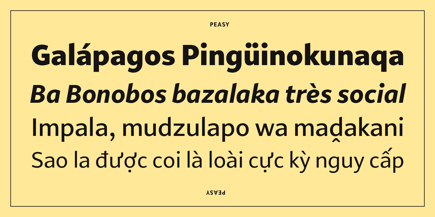 Peasy Font Poster #1