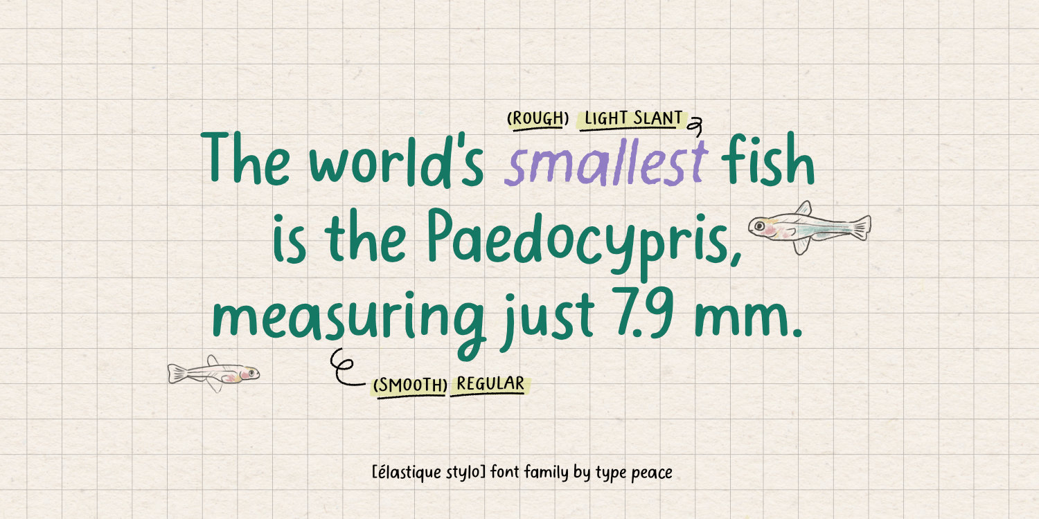 Elastique Stylo Font Poster #1