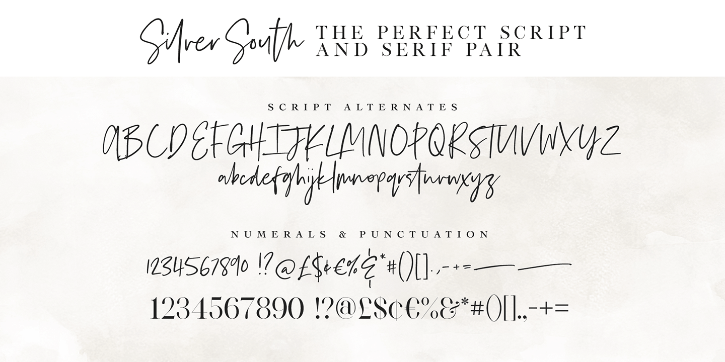 Silver South Font Poster #1