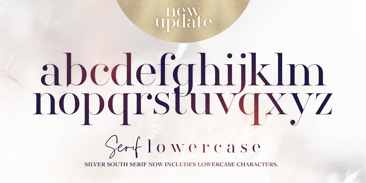 Silver South Font Poster #1