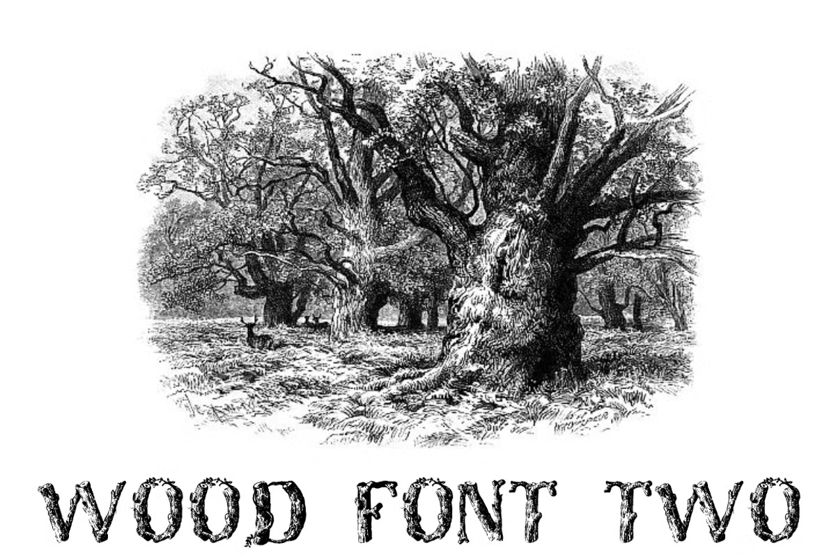 Wood Font Two Font Family Poster