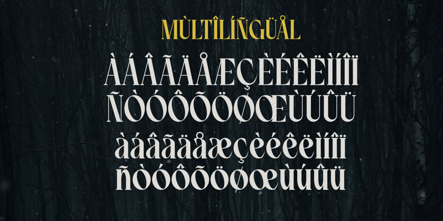 Soul Ozees Font Poster #1