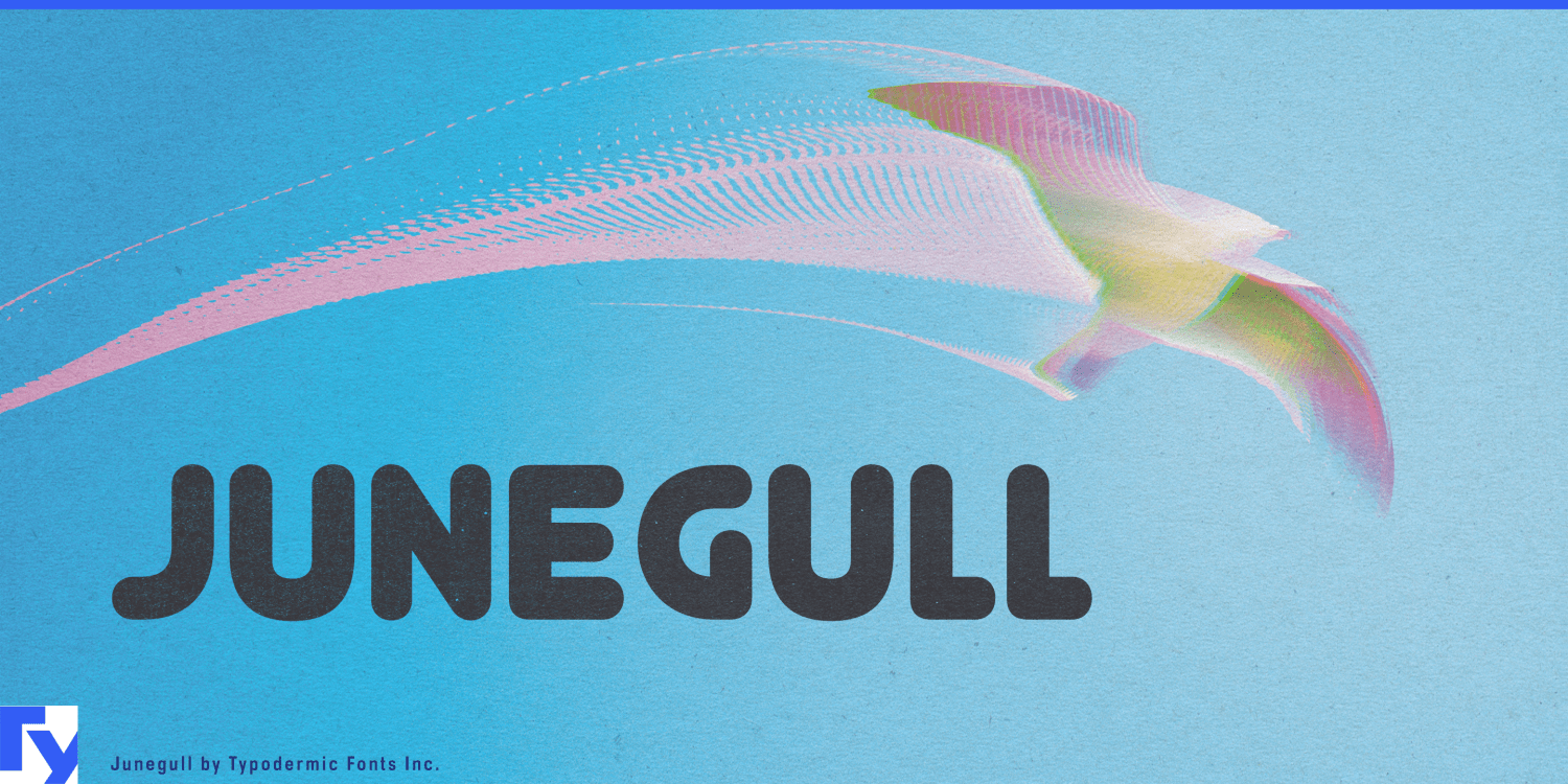 Junegull Font Poster