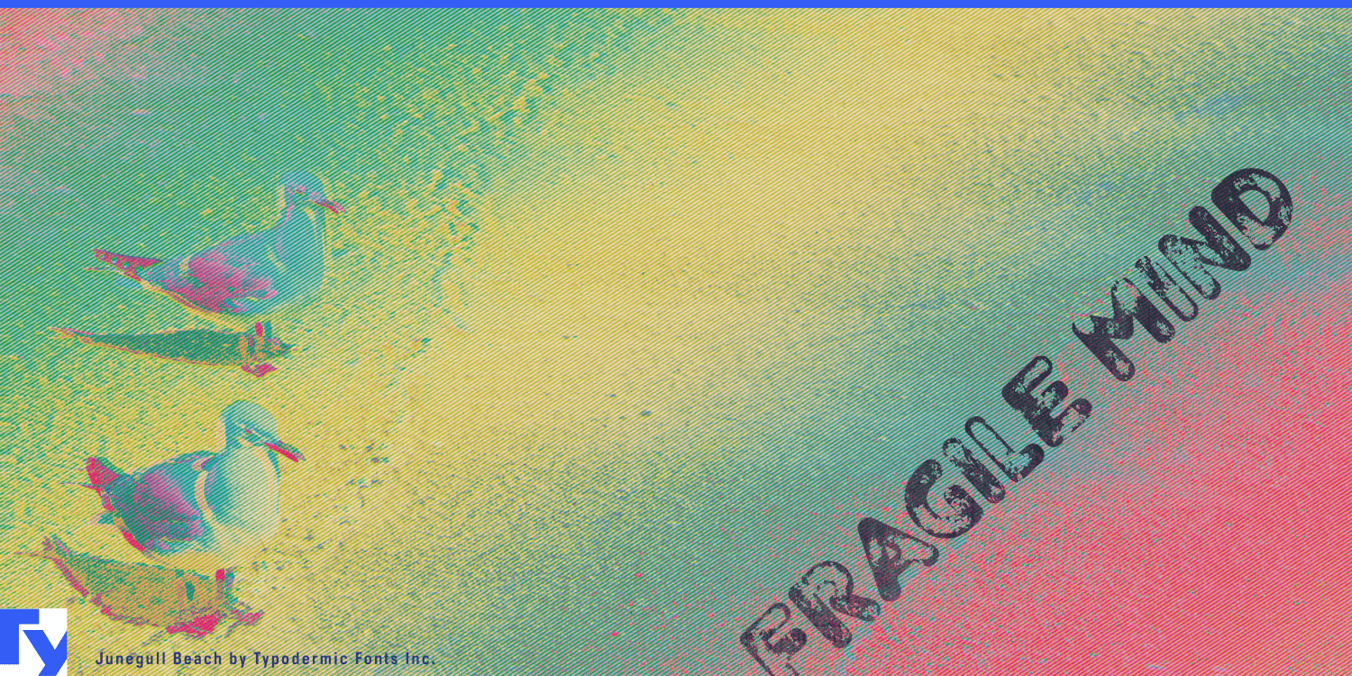 Junegull Font Poster #1