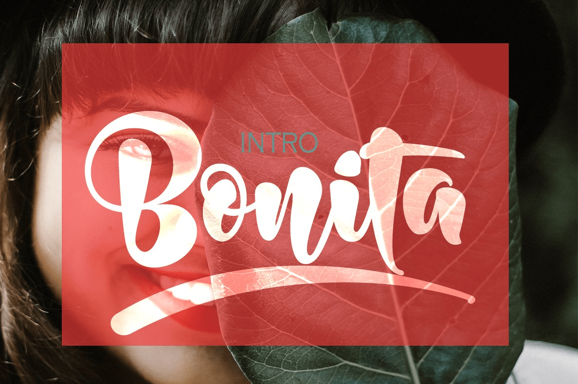 Bonita Font Family
