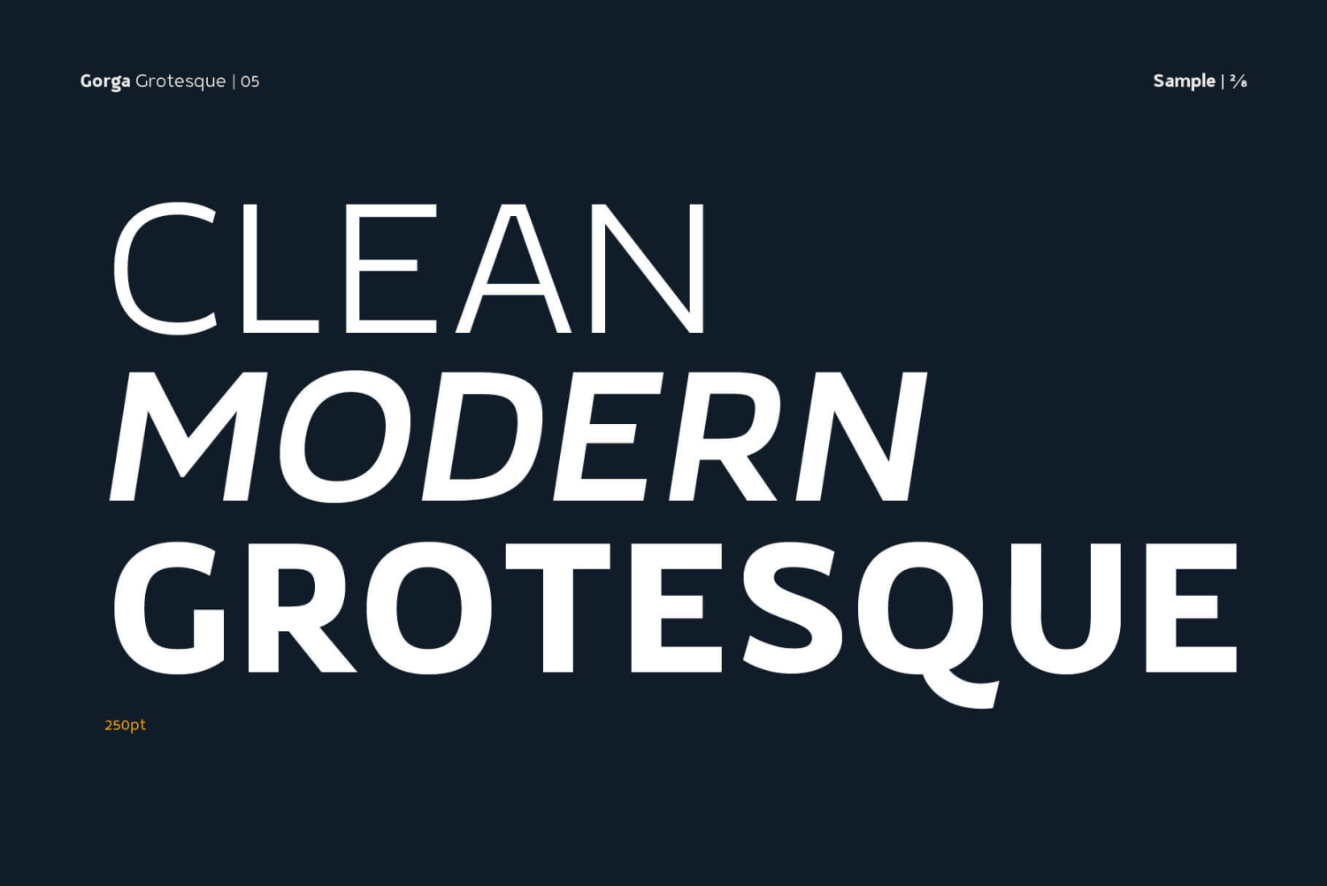 Gorga Grotesque Font Poster #1
