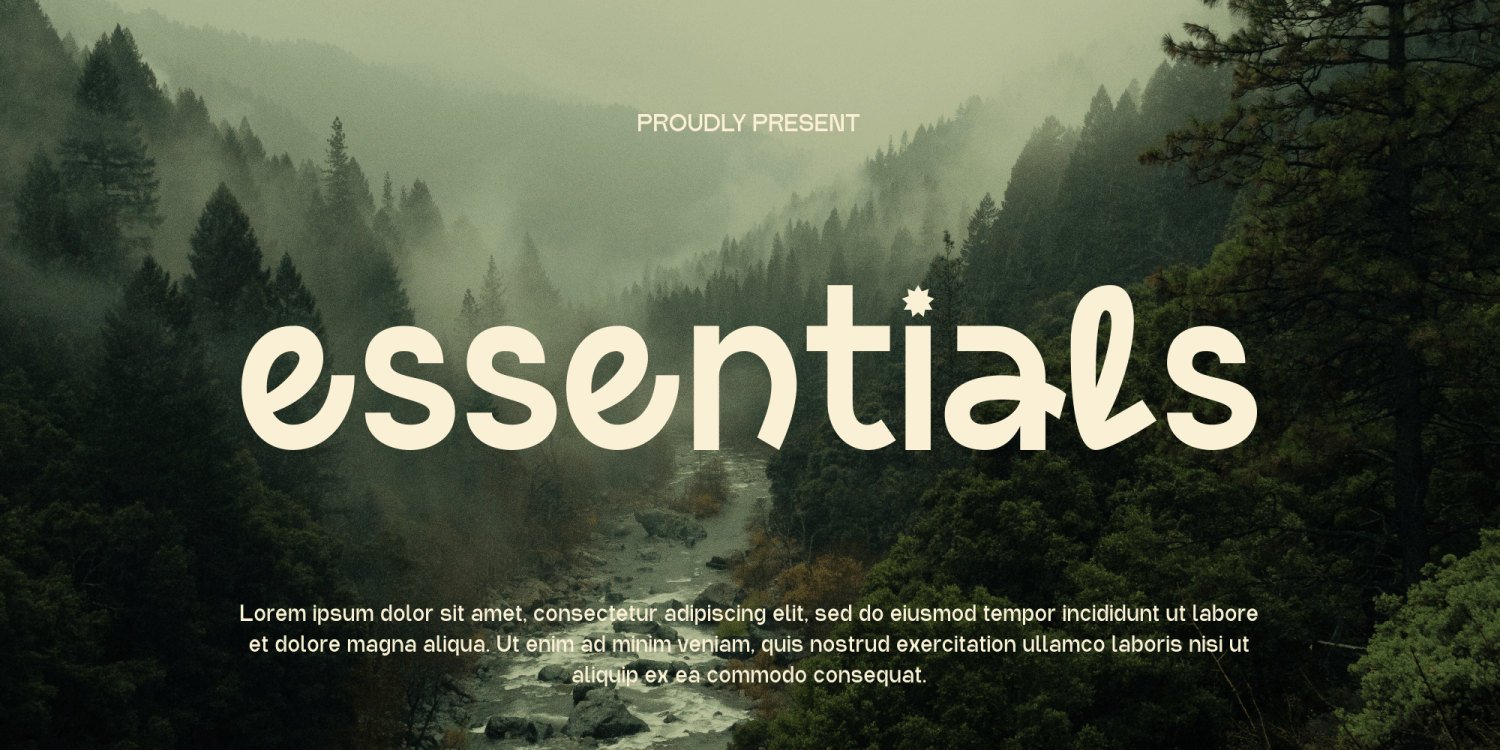 Defante Font Poster #7