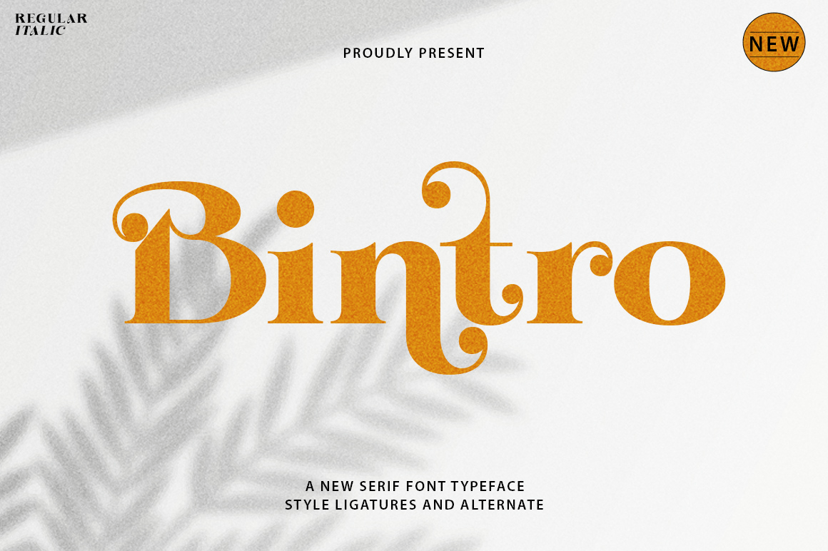 Bintro Poster