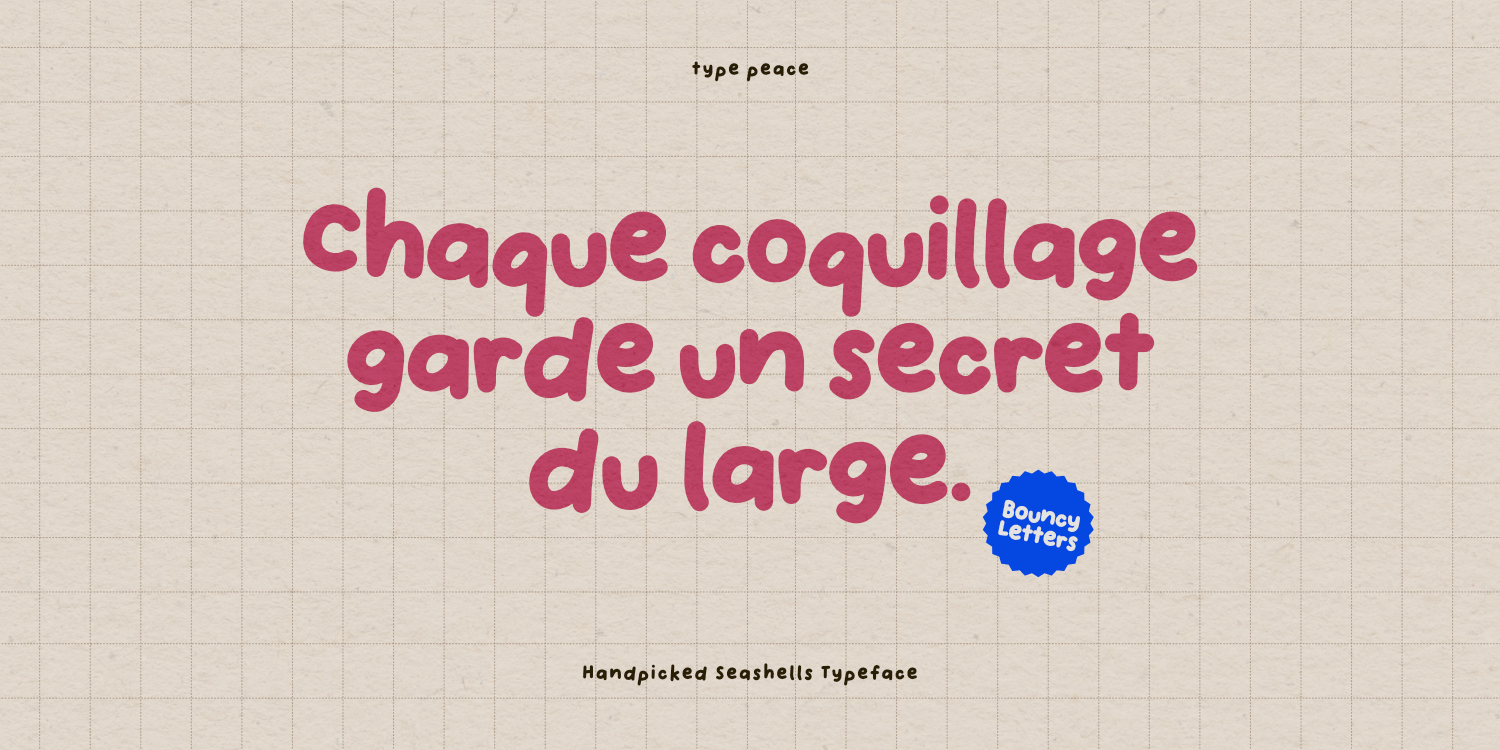 Handpicked Seashells Font Poster #1