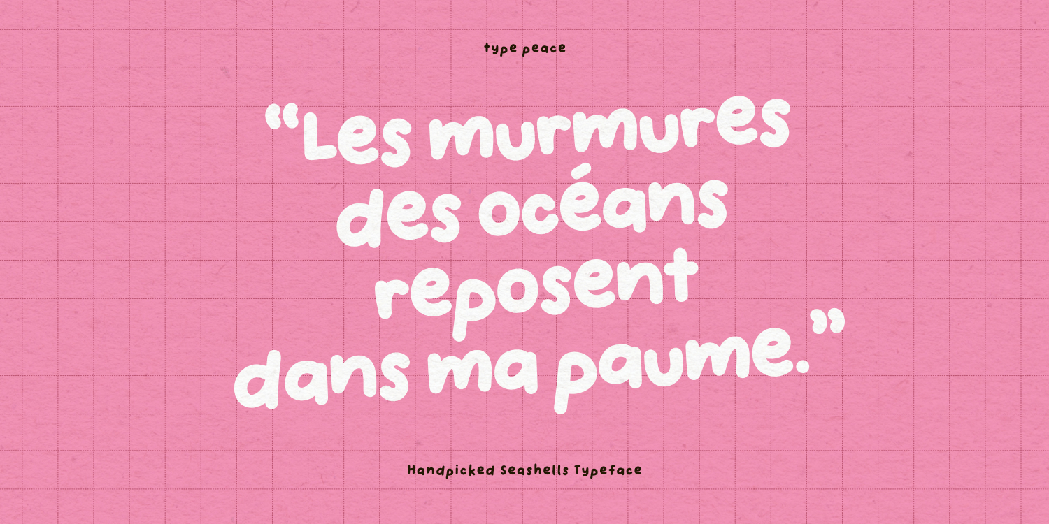 Handpicked Seashells Font Poster #1