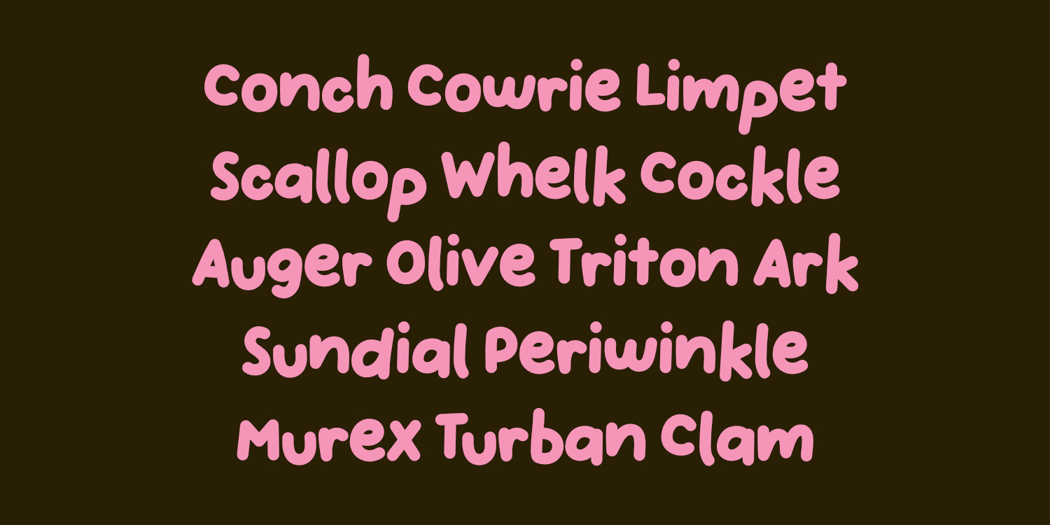 Handpicked Seashells Font Poster #1