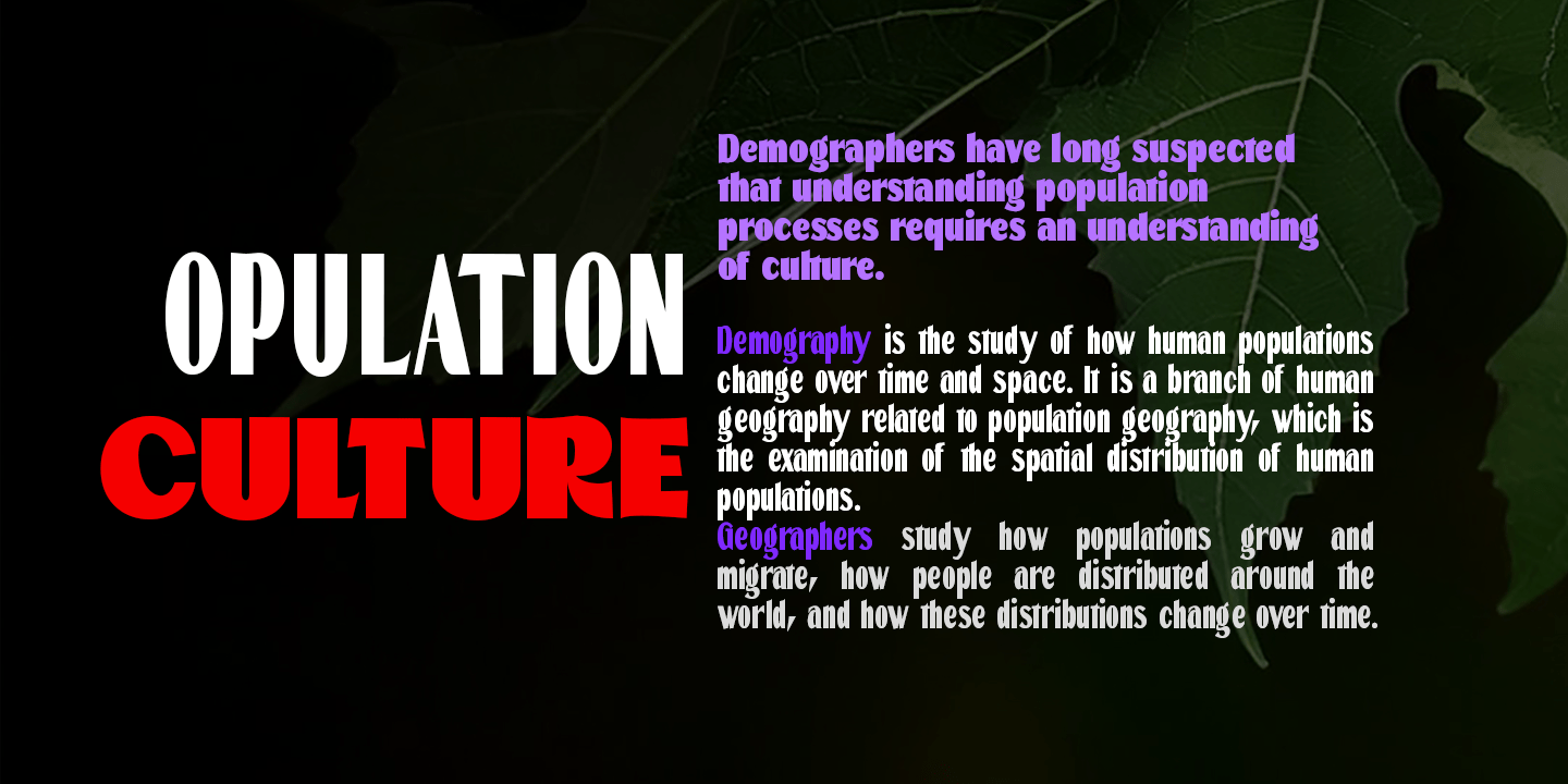 Ballacks Font Poster #3