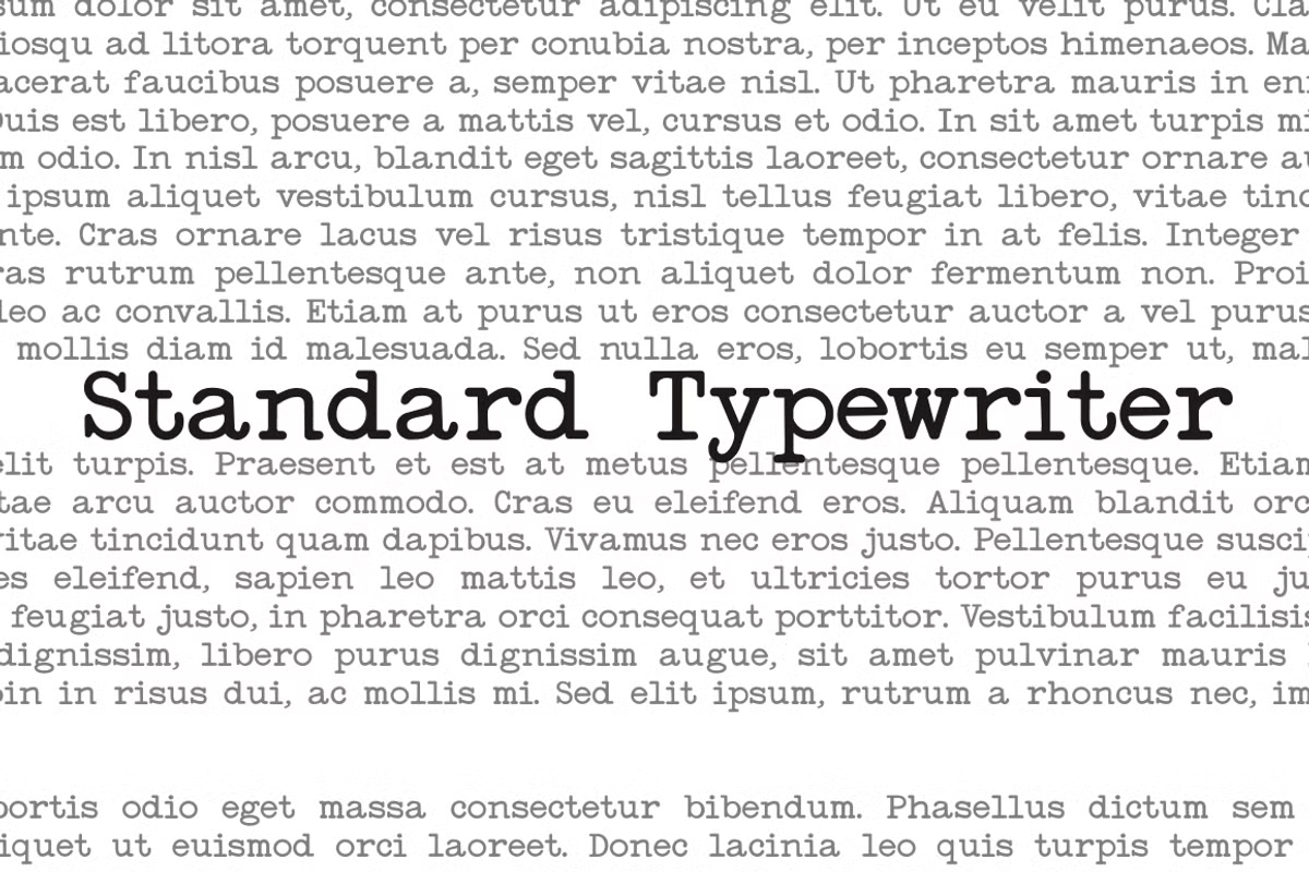 Standard Typewriter Font Family Poster