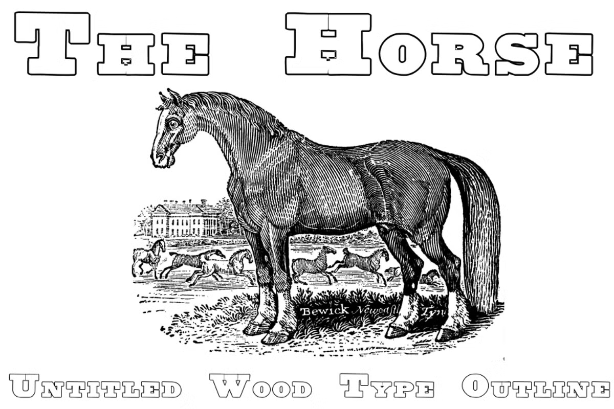 Untitled Wood Type Font Poster #1