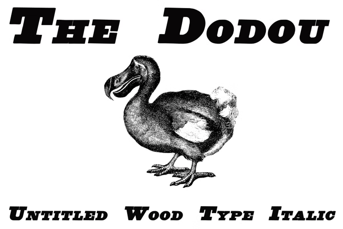 Untitled Wood Type Font Poster #1
