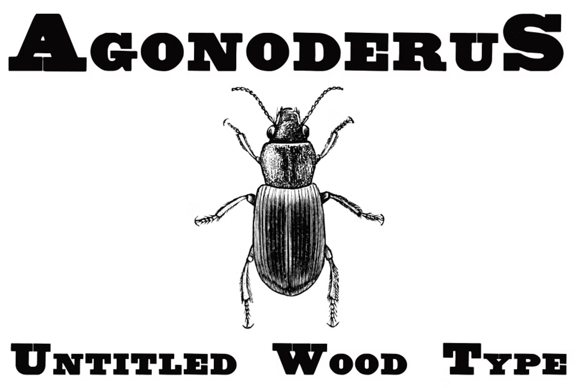 Untitled Wood Type Font Poster #1