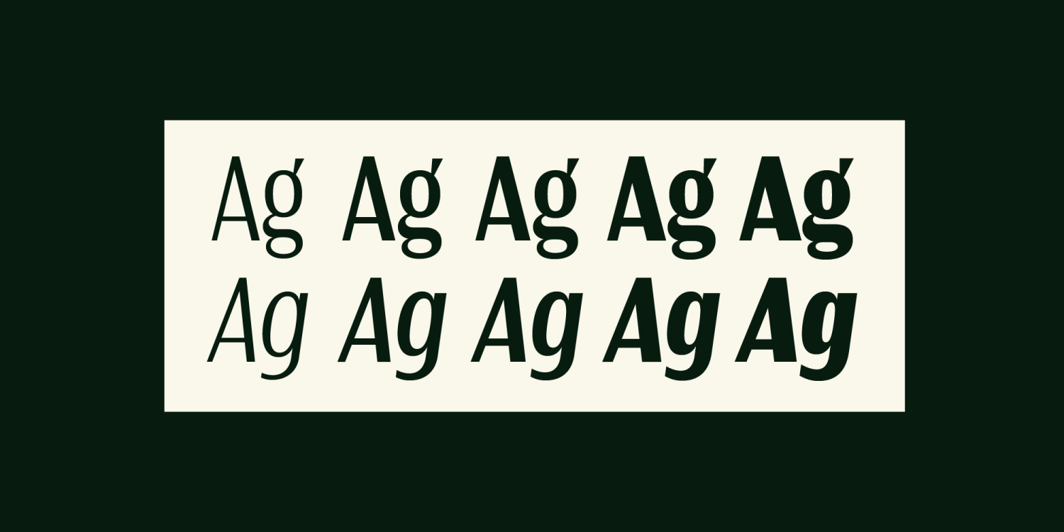 Tortillez Font Poster #1