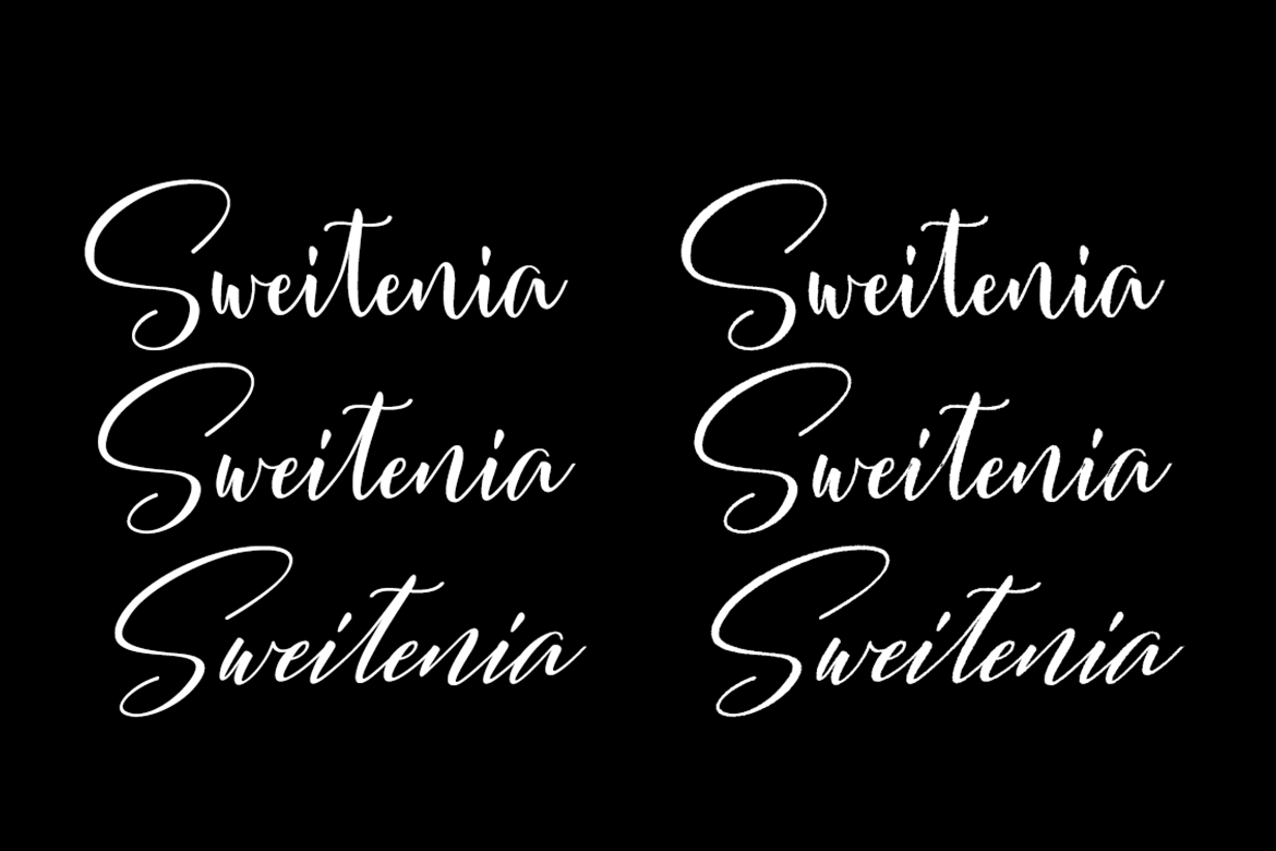 Sweitenia Font Poster #3