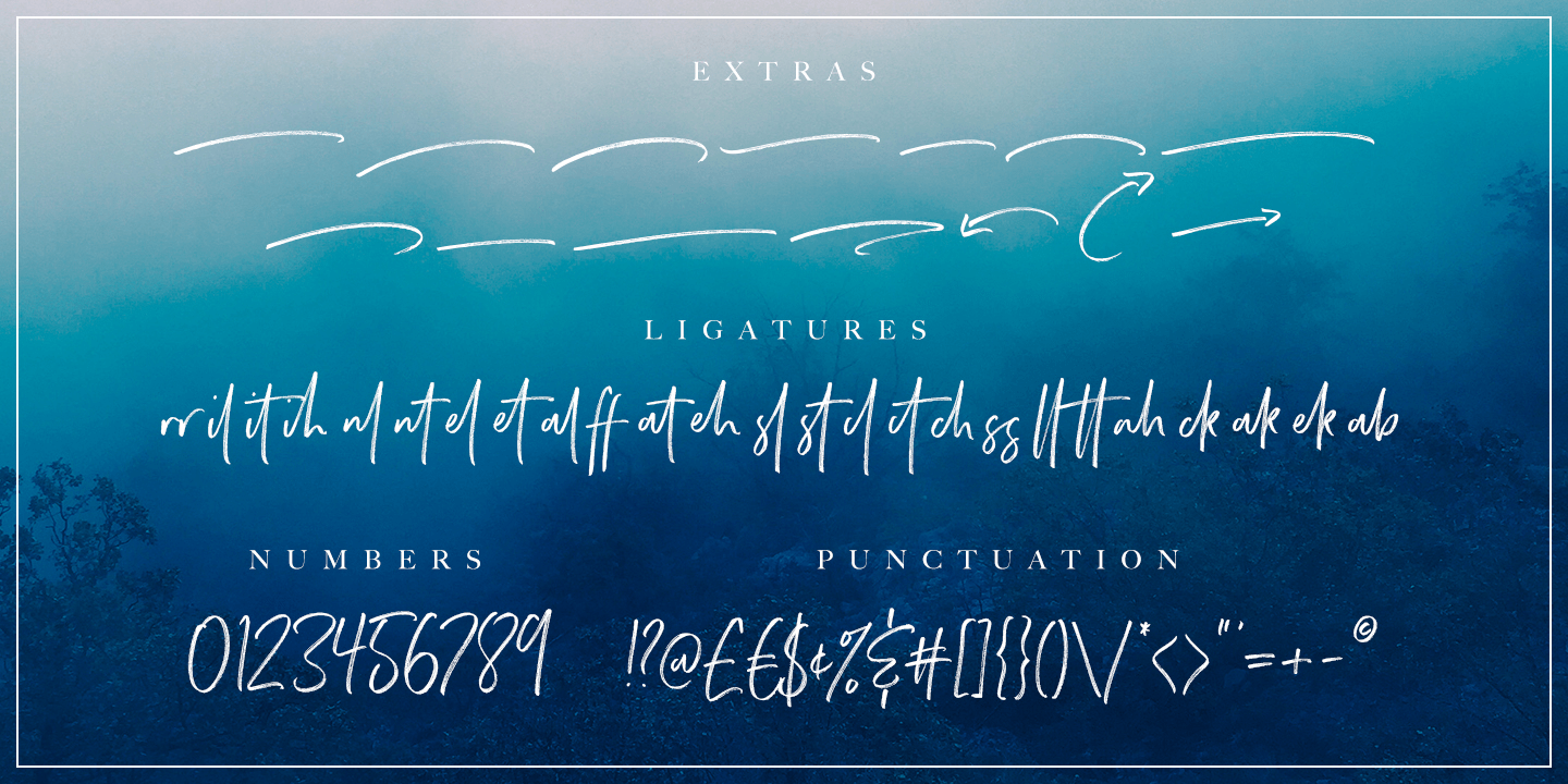 Wild Spirit Font Poster #1