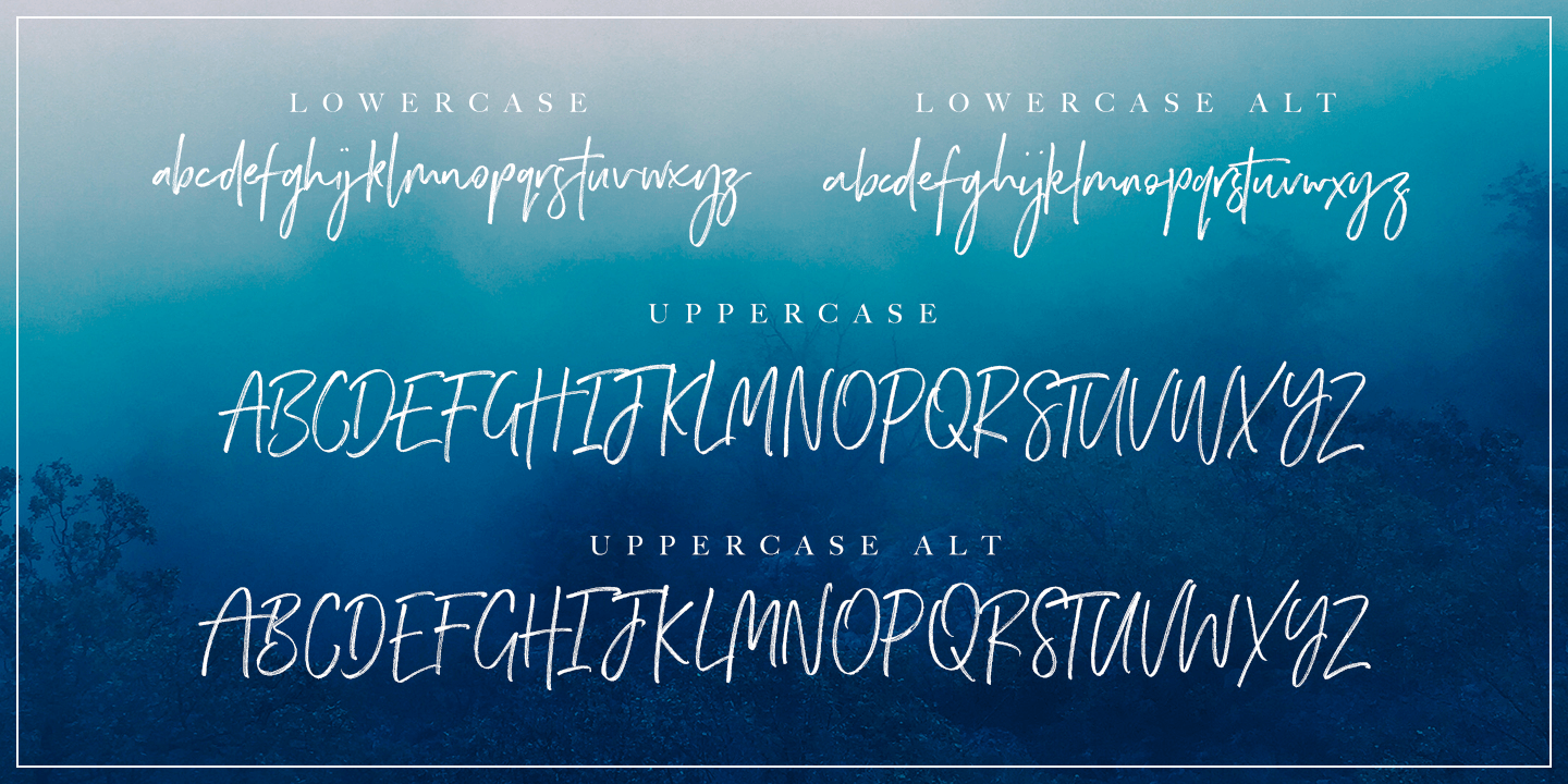 Wild Spirit Font Poster #1