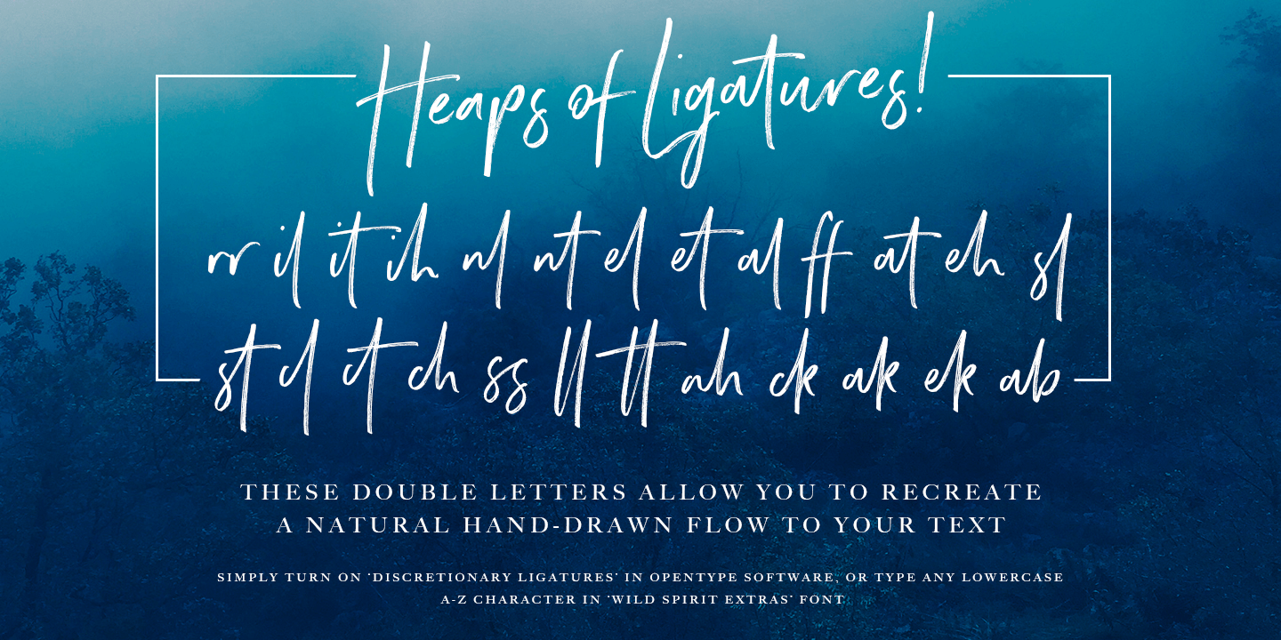 Wild Spirit Font Poster #1