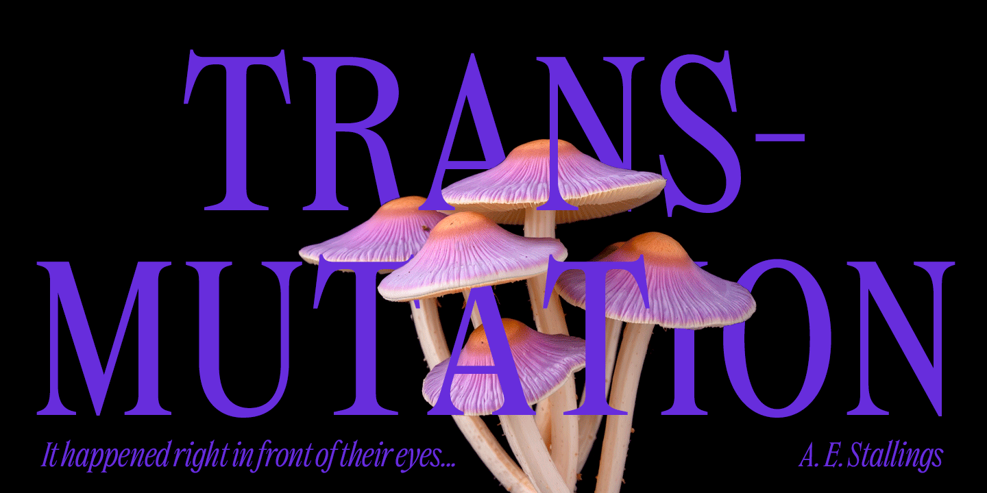 Dickens Font Poster #1